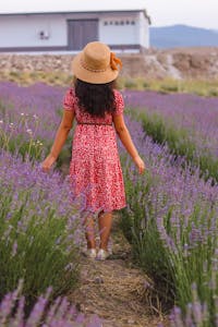 Back view of woman in a red dress and sunhat in a lavender field.