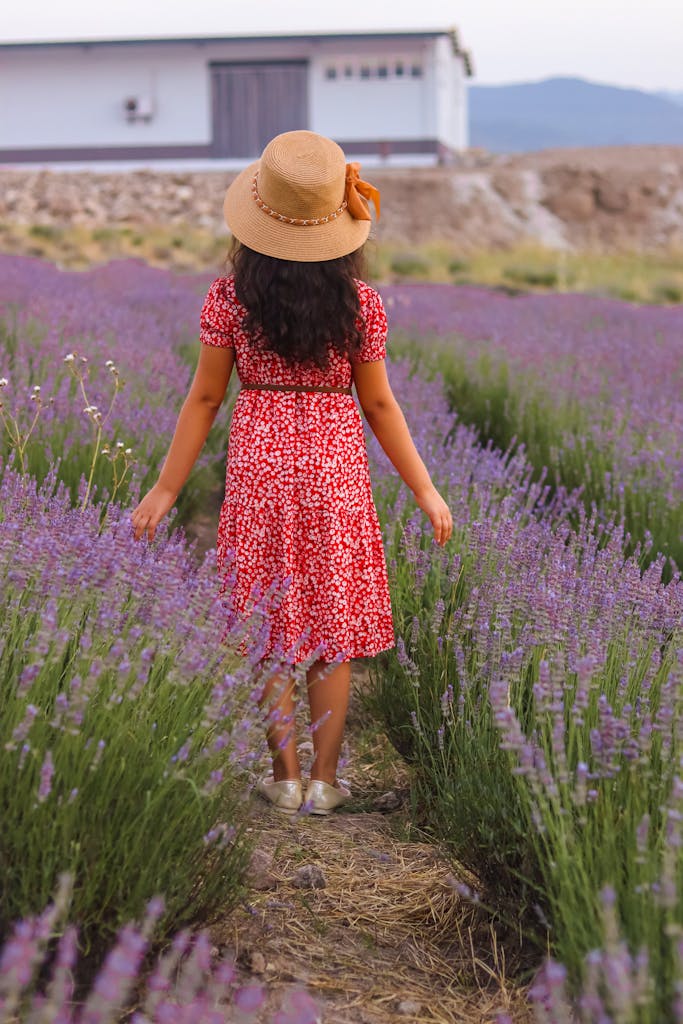 Back view of woman in a red dress and sunhat in a lavender field.